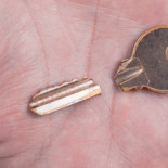 Bug 0-day  en kernel de Linux permite escalar privilegios. [ENG]