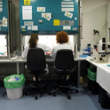 Denuncian una trama que realiza costosas pruebas de clínicas privadas en la pública