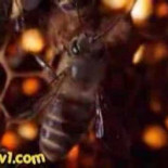 Cuando fallar no es una opción