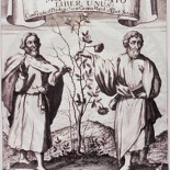 Las Drogas en el Imperio Romano