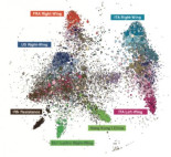 La extrema derecha internacional, responsable de una campaña masiva de desinformación sobre el coronavirus (ING)