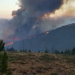 Incendios en Galicia | Vecinos de Arbo graban cómo prenden siete focos en el monte