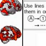 'Brain Training' no funciona, según investigadores franceses