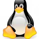 Aumenta la demanda de expertos en GNU/LINUX