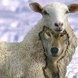 Las cinco falsedades con que intentan negar el derecho de autodeterminación