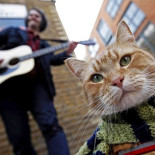 El gato Bob y su mascota, el humano James Bowen