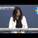 Así es como dimite una ministra sueca [SVE] [Sub ESP] [1m37s]