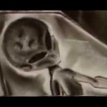 El laboratorio no halla restos de droga en la sangre del conductor de la excavadora