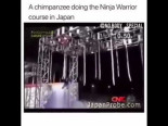 Un chimpance recorre la pista americana de Ninja Warrior