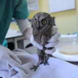 ¿Voy bien para Murcia?