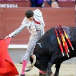 PSOE, PRC, C's, Ganemos e IU fuerzan la retirada de la subvención municipal a los festejos taurinos en Santander