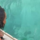 Científicos graban por primera vez una conversación entre dos delfines hablando como si fueran dos personas [ENG]