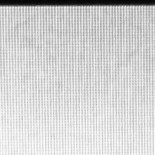 No hay ningún "pony" en las cuentas del PP filtradas en Internet