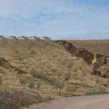 El 20% del territorio español ya es desierto