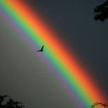 El arcoíris no tiene siete colores