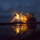 Gatitos para aliviar el estrés