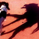 Cuando la luz se burla de nosotros: 25 sombras que traicionan a sus dueños