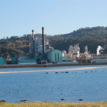 El Gobierno otorga a Ence la prórroga en Pontevedra