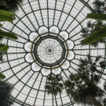 Garrapatas y dragones