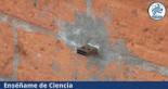 USB dead Drops ¿Qué son y por qué están escondidos en las paredes de varios países?