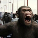 10 confusiones habituales al hablar de evolución