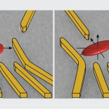 La geometría de un electrón, determinada por primera vez