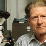 Goleada en premios Nobel: Cambridge 77 – España 2