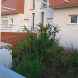 Guardar las mejores viviendas para cuando pase la crisis, fail para el banco (fotos)