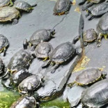 El falso paraíso de la estación de Atocha
