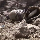 La tele francesa sobrevuela un pueblo de Nepal arrasado por el terremoto y se encuentra con guardias civiles (FR)