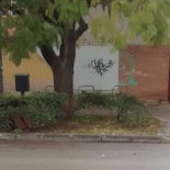 Apalean y matan a tres crías de gato frente a un colegio de Valencia