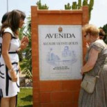 Llevan a los juzgados a la Alcaldesa de Elche por el coste del monolito al ex-alcalde franquista