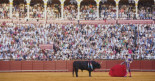 Andalucía ultima subvenciones para municipios que organicen corridas de toros y promocionen la tauromaquia La Consejería