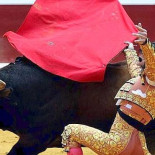 No habrá toros en Donostia