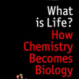 El acertado miedo de Stephen Hawking